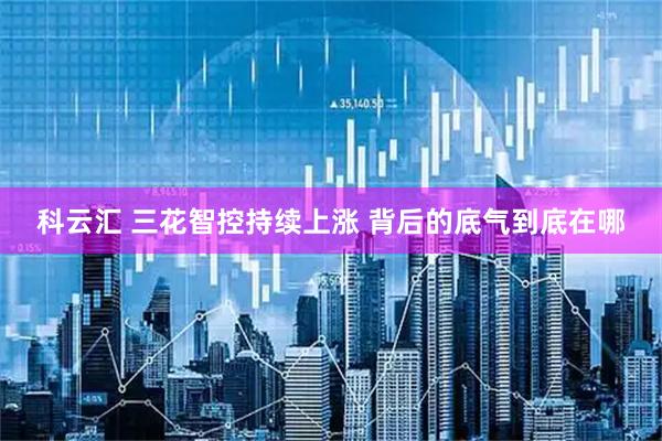 科云汇 三花智控持续上涨 背后的底气到底在哪